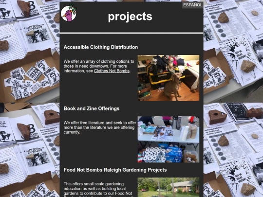 projects screenshot