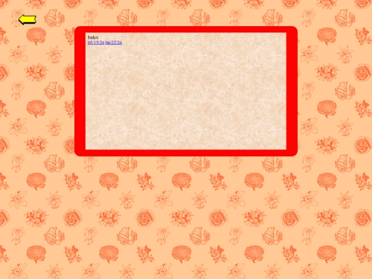 room/journals/video_games screenshot