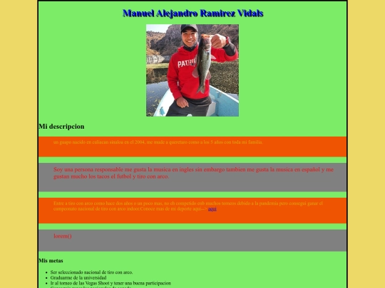 practica1css screenshot