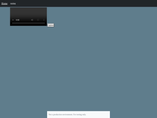 google screenshot