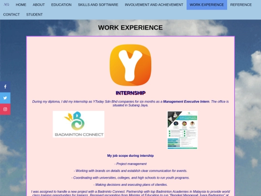 workexperience screenshot