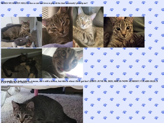 pets screenshot