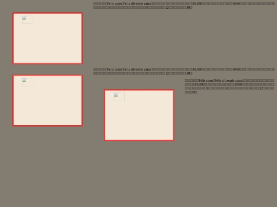 20221114/test01 screenshot