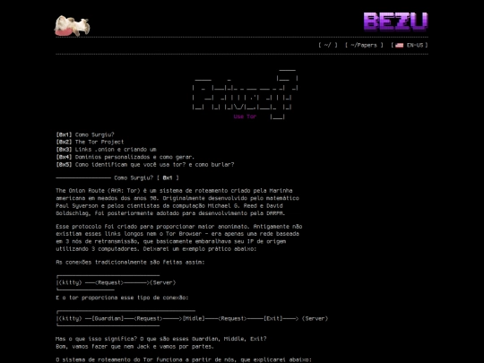 privacidade/2024/09/01/onion-route screenshot