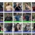 dball directory avatar