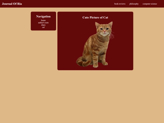 cat screenshot