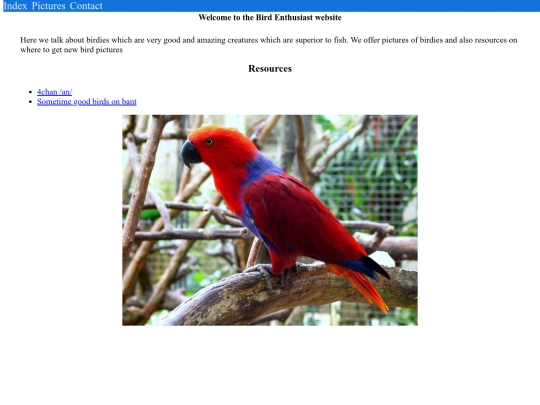 index screenshot