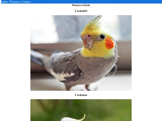 pics screenshot