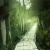 pathway avatar