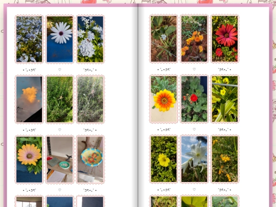 page4 screenshot