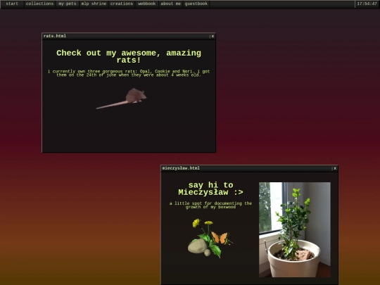 pets screenshot