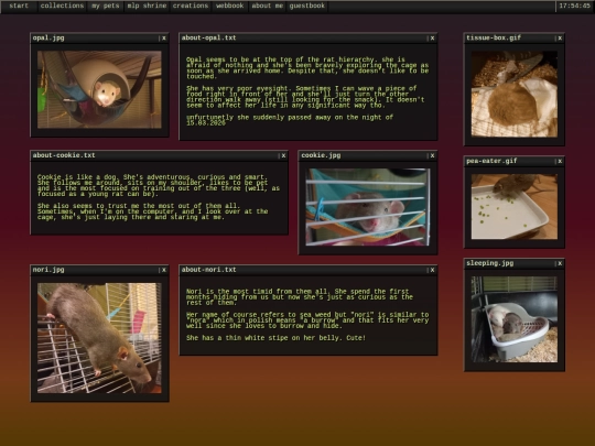 pets/rats screenshot
