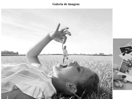 galeria screenshot