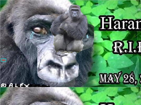 harambe screenshot