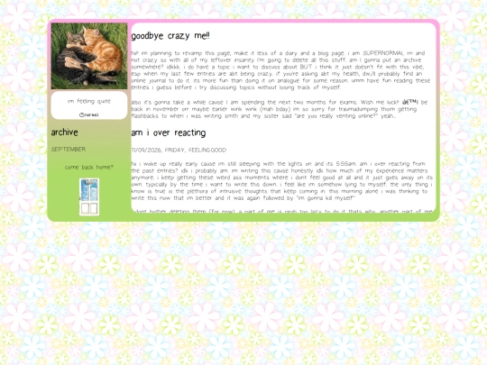 diarypages/diaryjulyaug screenshot