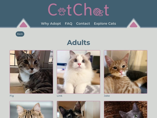 adult screenshot