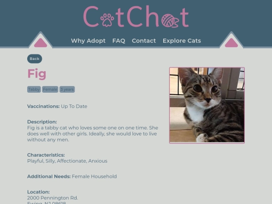 adult1 screenshot