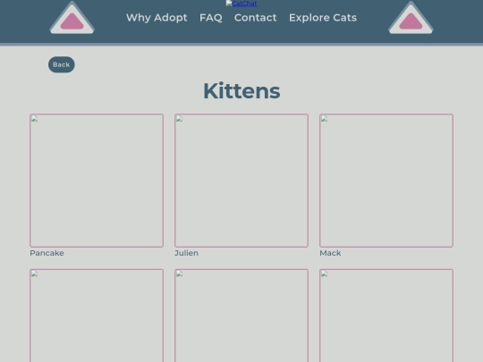 kitten screenshot