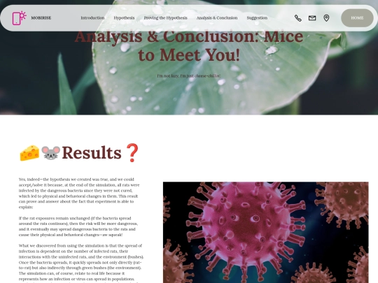 page6 screenshot