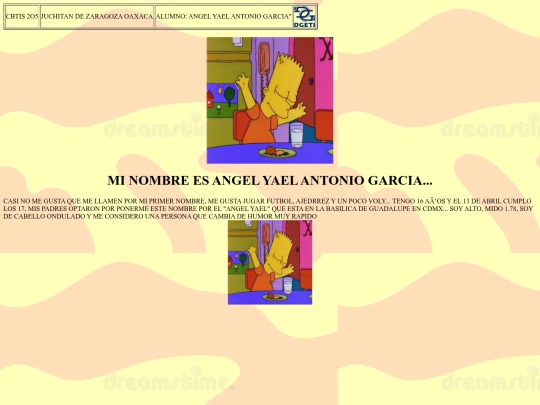 CARTA DE PRESENTACION screenshot
