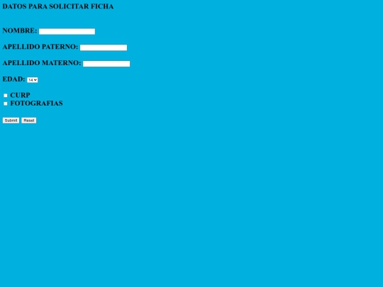 FICHA DE SOLICITUD screenshot