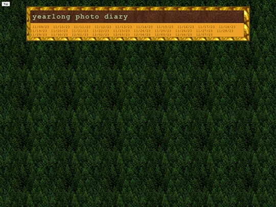yearlongphotodiary screenshot