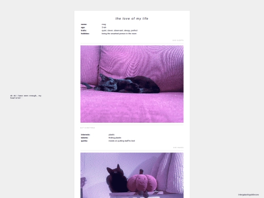 mog screenshot