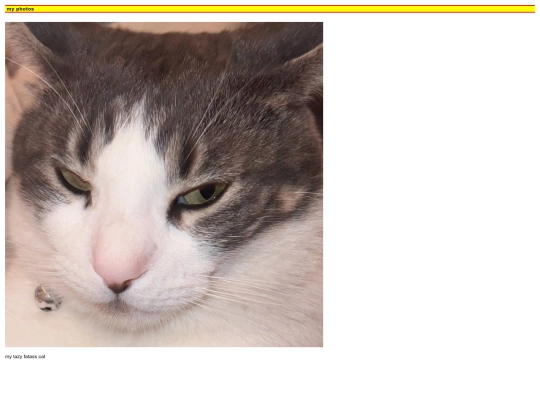 bloggallery screenshot
