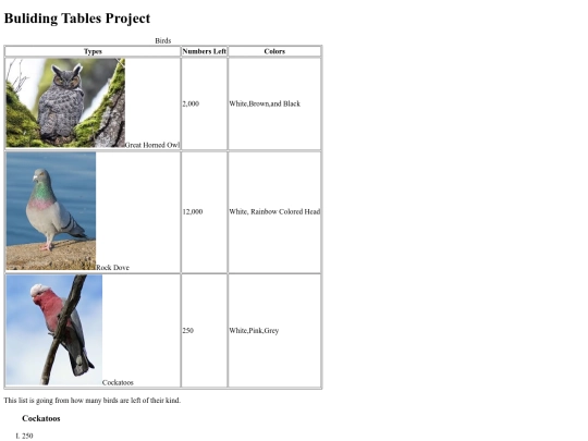 building-table-project/bulidingtables screenshot