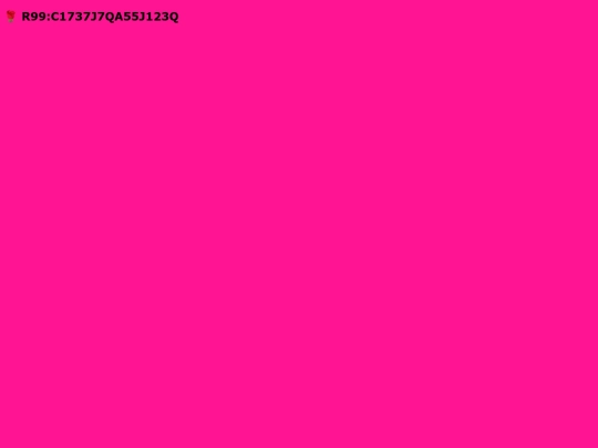 zs9215 screenshot