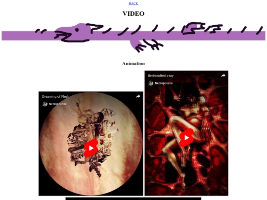 video screenshot