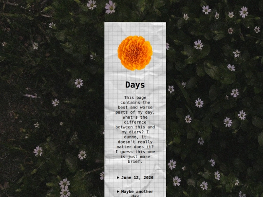 days screenshot