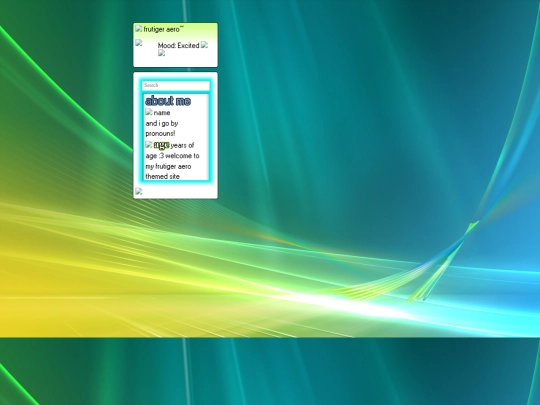 web screenshot