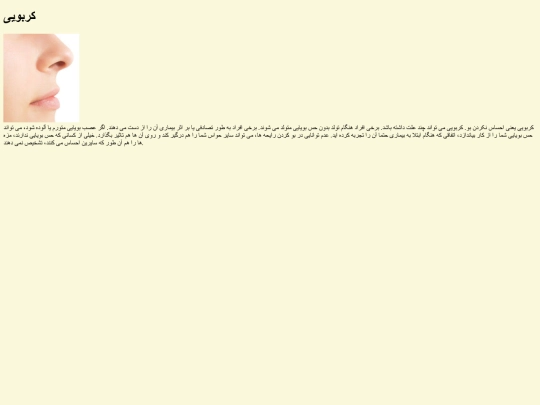 karbooyee screenshot
