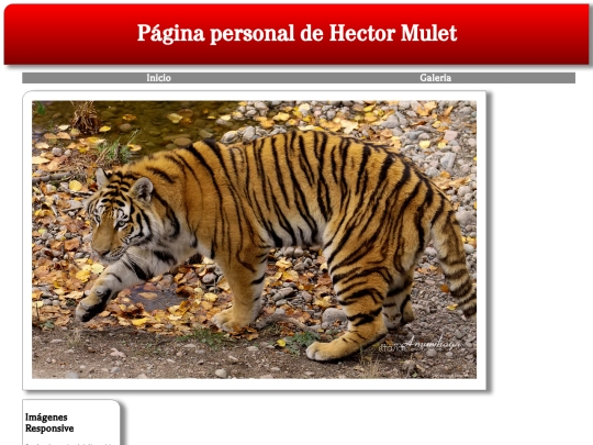 img screenshot
