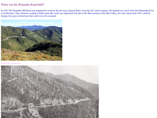 rimu1 screenshot