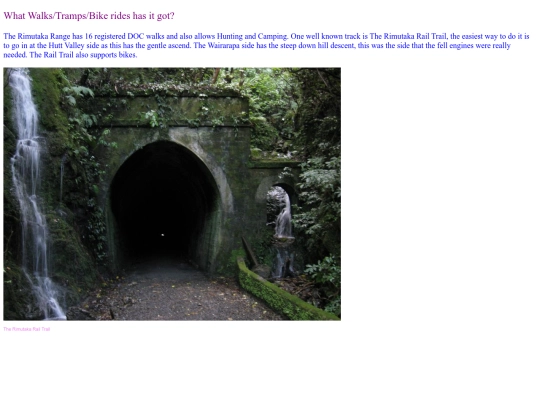 rimu2 screenshot