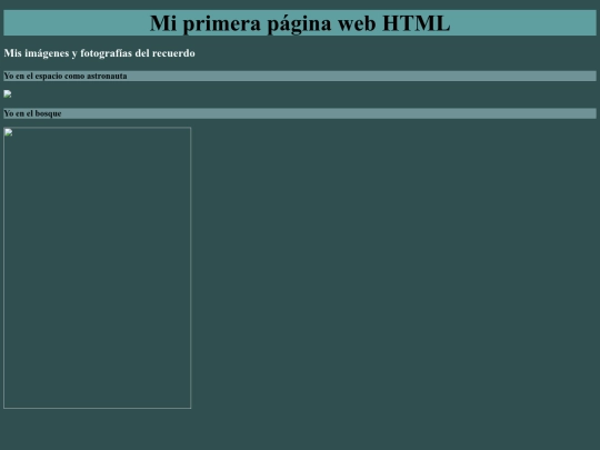 Actividades/Plantilla Página Web screenshot