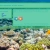 the-underwater-museum.neocities.org avatar
