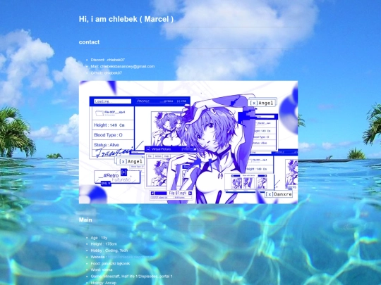 info screenshot
