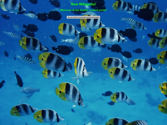 nowawikipedia screenshot