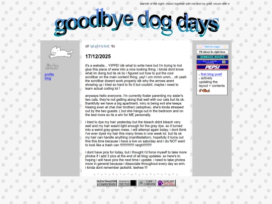 blog screenshot