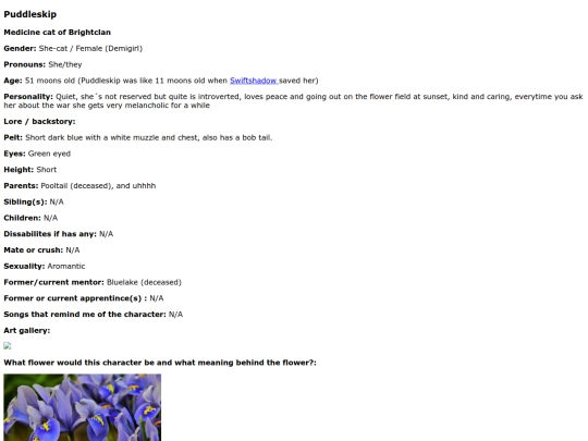 Puddleskip screenshot