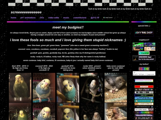 mybirdies screenshot
