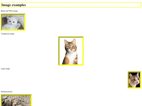 images-cat/images screenshot