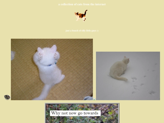 catarchive screenshot