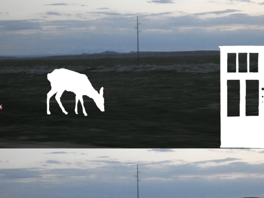 deerhomepage screenshot