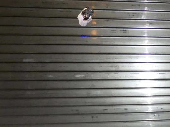 deerhomepage2 screenshot