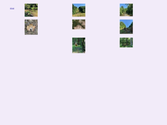 img/rivergreen screenshot