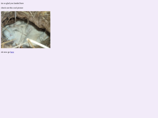 link3 screenshot